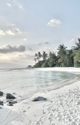 binon | biển, đảo và em