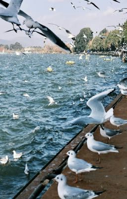 [BINSUNG] Phòng tắm