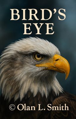 Bird's Eye