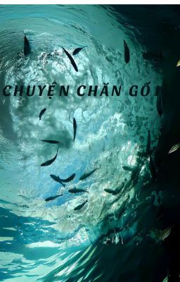 BL x HQ | Chuyện chăn gối