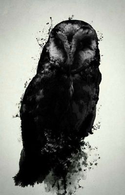 Black Owl