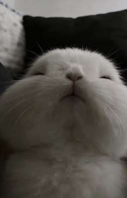 ꧁Bmas꧂ Bí Mật Nhỏ