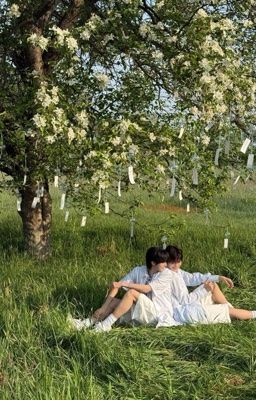 bmas ;; nắng hoa niên