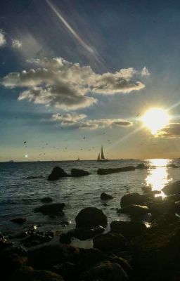 | Bmas | Tán Mây Trôi