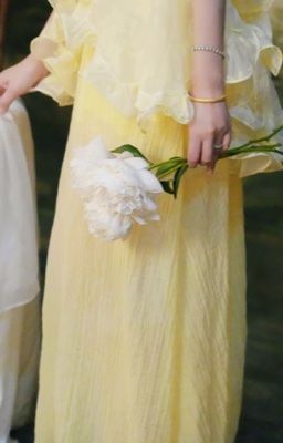 bộ sưu tập bè chuối 