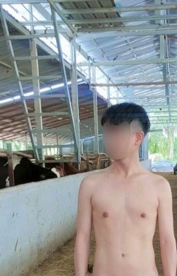 Bồn Xả Tinh