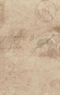 Bóng Hình Giữa Khói Lửa ( Quang/Hải/Tú x Cường)