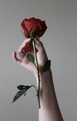 Bông hồng đỏ [Oneshot]