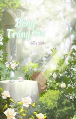 Bông Hồng Trắng