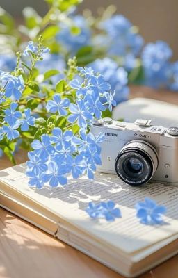 Bông lam tinh giữa tuyết | [ Duongkieu ]