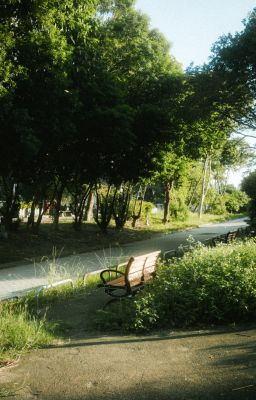 Bóng nắng[RioLinh]