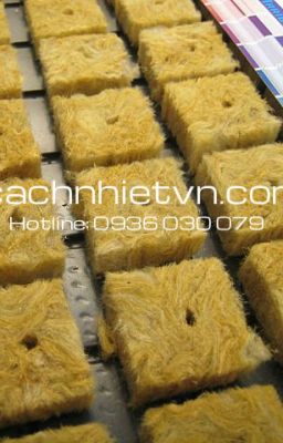 Bông thủy tinh rockwool ứng dụng trồng rau sạch