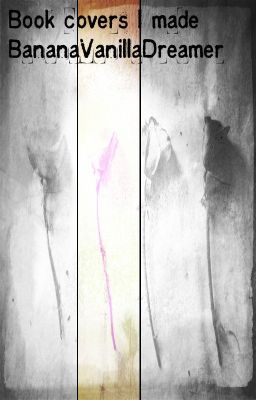 Book covers I made