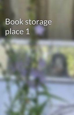 Book storage place 1