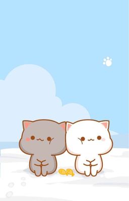 Boys 2 Planet - Cột sống em ổn không?