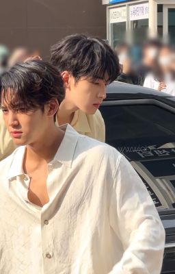 Bức Ảnh Vỡ Tan Của Hạnh Phúc