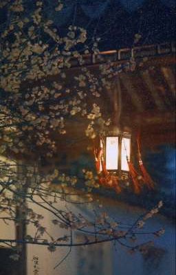 【Bùi Thủy】Sau...