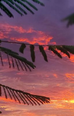 Bước đi của mùa hạ