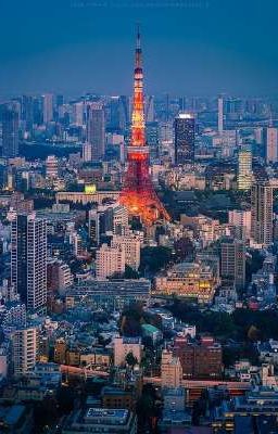 [ByaHaru][YoHaji][Shortfic] Tàn Lụi