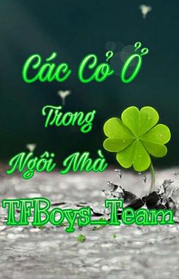 các cỏ ở trong ngôi nhà TFBoys_Team