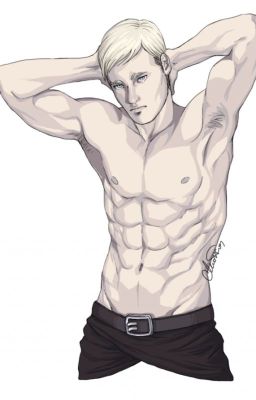 Cadet Lover (Erwin x Reader)