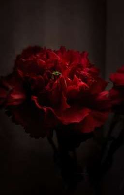 Cái Cây từ Cõi Chết