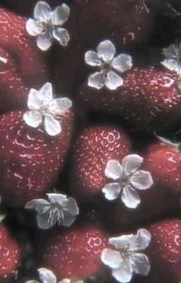 call my name。.゚+