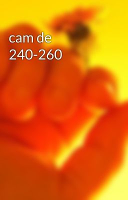 cam de 240-260