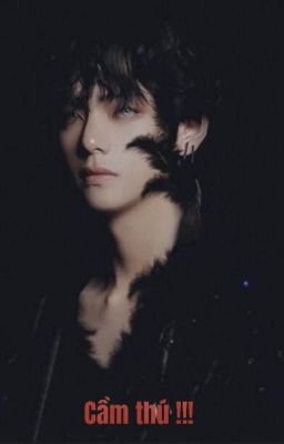 CẦM THÚ [KTH & Y/N]