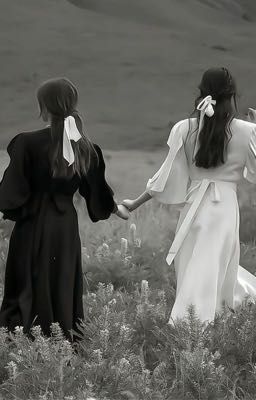 ￼￼Cẩm Tú Cầu