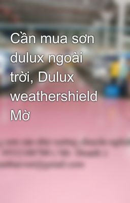 Cần mua sơn dulux ngoài trời, Dulux weathershield Mờ