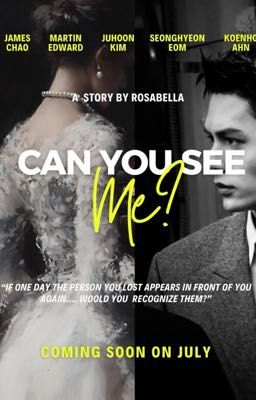 Can You see Me? 