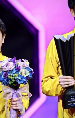 Cặp đôi hoàn hảo