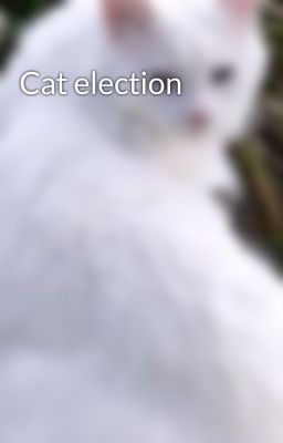 Cat election 