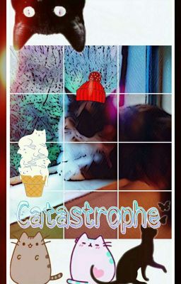 Catastrophe (Cat Book)