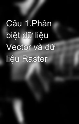 Câu 1.Phân biệt dữ liệu Vector và dữ liệu Raster