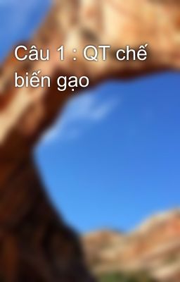 Câu 1 : QT chế biến gạo