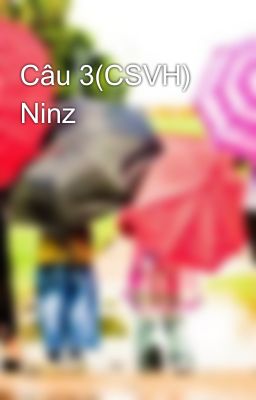 Câu 3(CSVH) Ninz