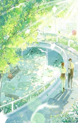 cậu ấy chỉ cười với mình