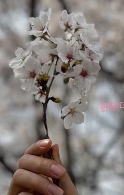 câu chuyện về mình