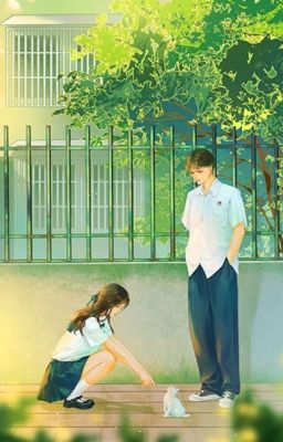 Cậu Ở Phòng Bên Nhưng Lại Ở Trong Tim Tớ