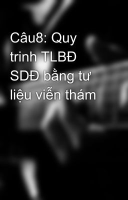 Câu8: Quy trinh TLBĐ SDĐ bằng tư liệu viễn thám