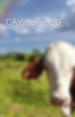 CÂY DƯA LEO