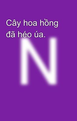 Cây hoa hồng đã héo úa. 