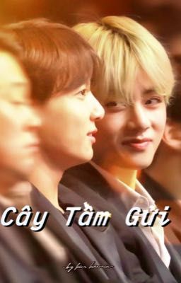 Cây Tầm Gửi 