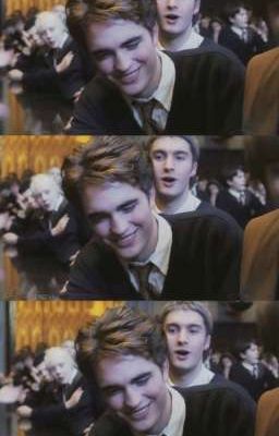 [Cedric Diggory] Cơn Gió Nhỏ Nghịch Ngợm 