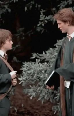 Cedric x harry (tuyển tập)