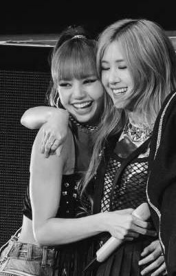 [CHAELISA] Hoa Hồng Có Gai