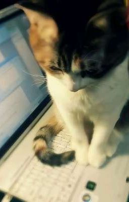 | ChiếnLộc | Oneshot 