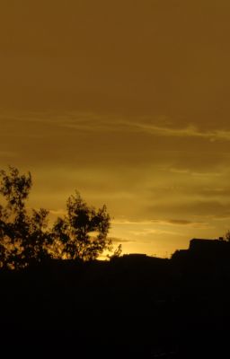 Chiều bồng bềnh giữa đốm cháy hoàng hôn